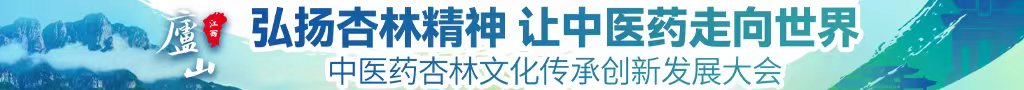 黑人几几视频中医药杏林文化传承创新发展大会